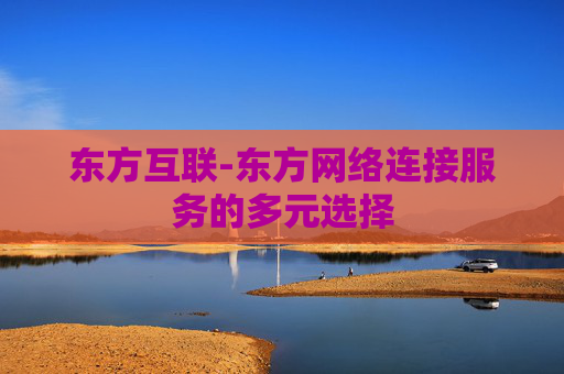 东方互联-东方网络连接服务的多元选择
