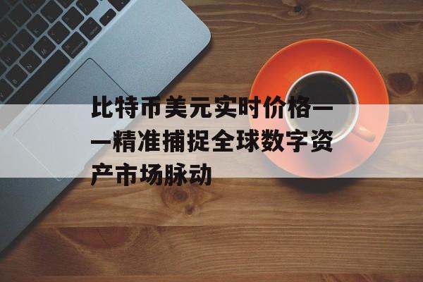 比特币美元实时价格——精准捕捉全球数字资产市场脉动